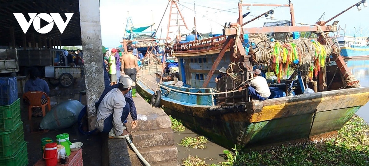 Đồng Tháp hỗ trợ ngư dân gần 28 tỷ đồng nâng cấp thiết bị giám sát tàu cá